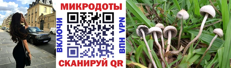 Галлюциногенные грибы мицелий  Липецк 