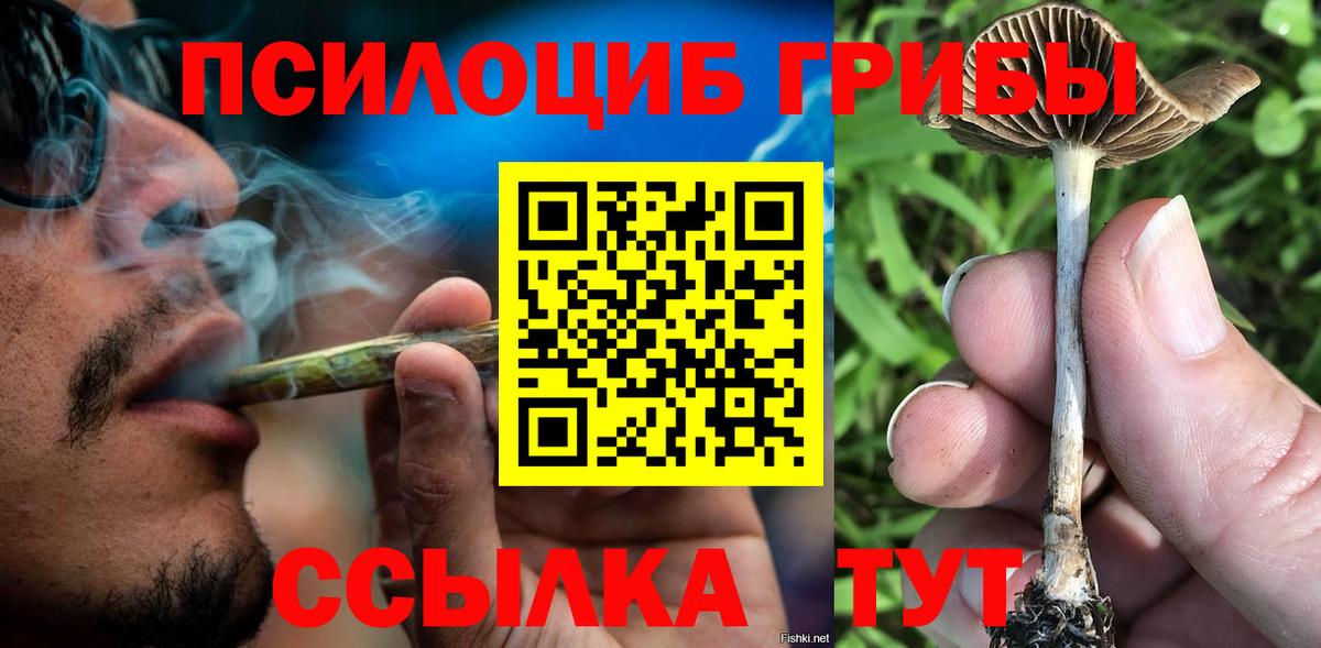 Липецк  Псилоцибиновые грибы Magic Shrooms  Вход с VPN  Галлюциногенные грибы Cubensis 